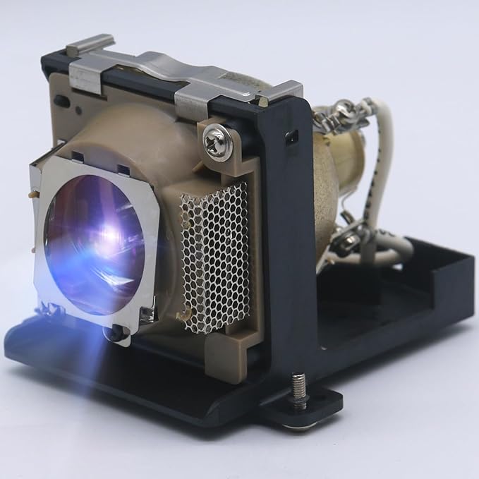 Projector Lamp Replacement for 59.J8401.CG1 BenQ PB7100 PB7105 PB7110 PE7100 PE8250 PB7210 PB7230 Powered by OSRAM P-VIP OEM Bulb - 1 Year Warranty
