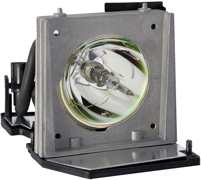 Projector Lamp Replacement for EC.J1001.001 ACER PD116P PD116PD PD521D PD523 PD523D PD525 PD525D Powered by Philips UHP OEM Bulb - 1 Year Warranty