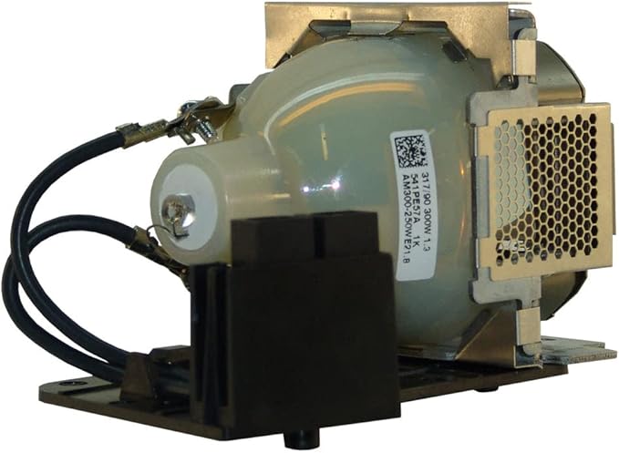Projector Lamp Replacement for 5J.J1Y01.001 / 5J.J2A01.001 BenQ SP830 SP831 Powered by OSRAM P-VIP OEM Bulb - 1 Year Warranty